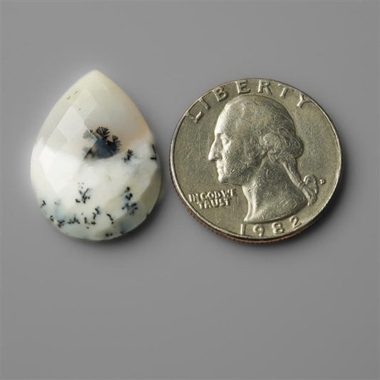 Agate|Dendritic Agate