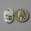 Agate|Dendritic Agate