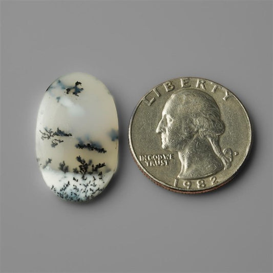 Agate|Dendritic Agate