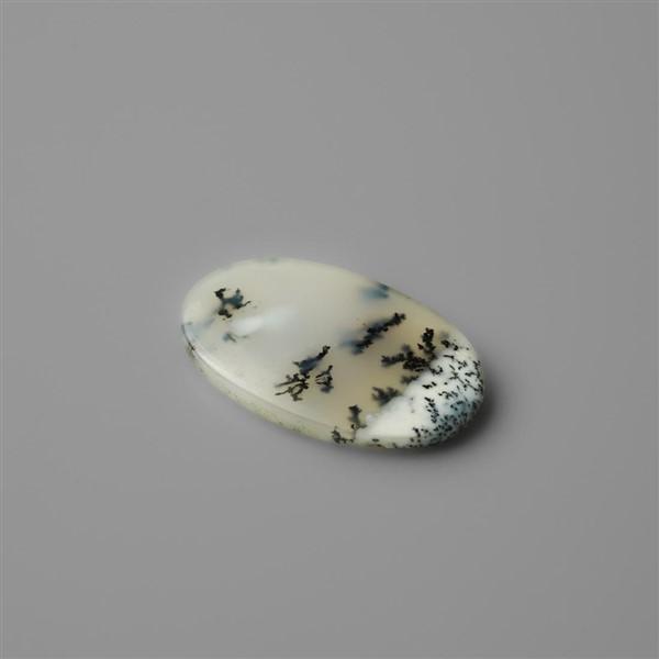Agate|Dendritic Agate