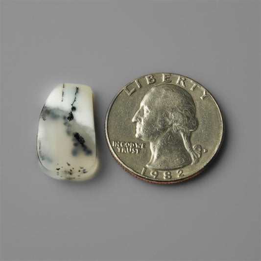 Agate|Dendritic Agate