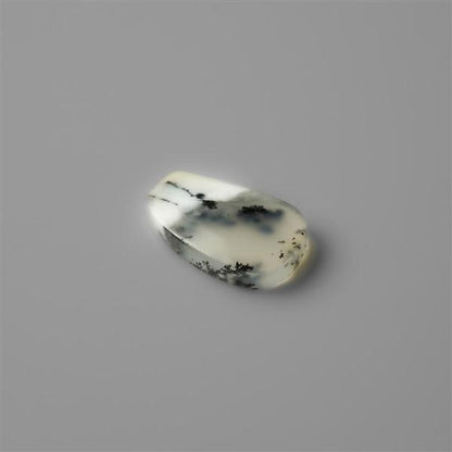 Agate|Dendritic Agate
