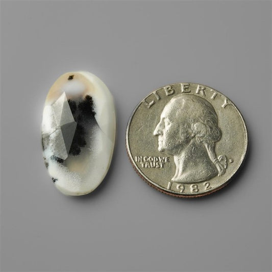Agate|Dendritic Agate