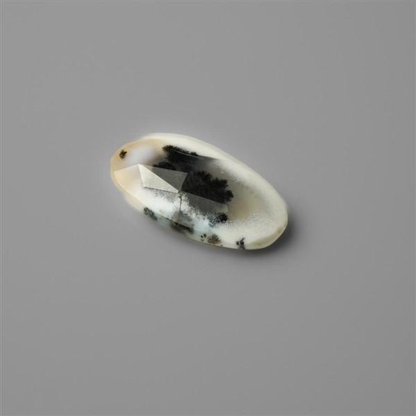 Agate|Dendritic Agate