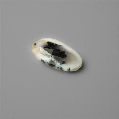 Agate|Dendritic Agate