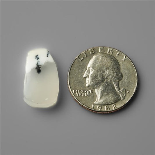 Agate|Dendritic Agate