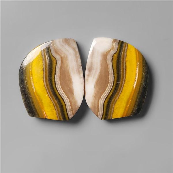 Bumble Bee Jasper
