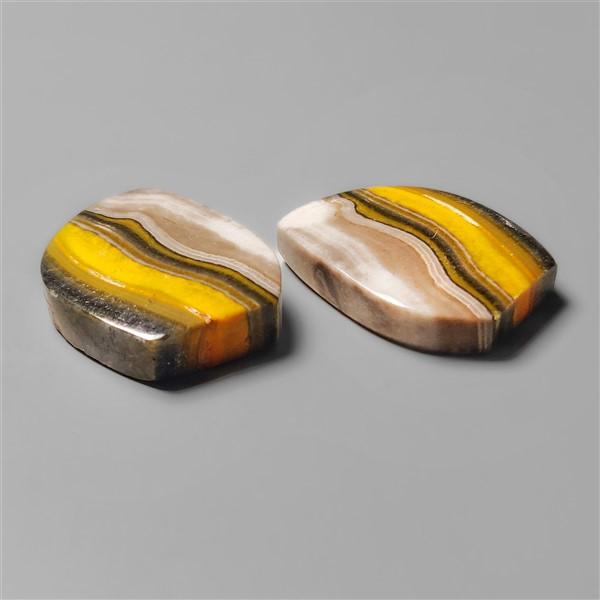 Bumble Bee Jasper