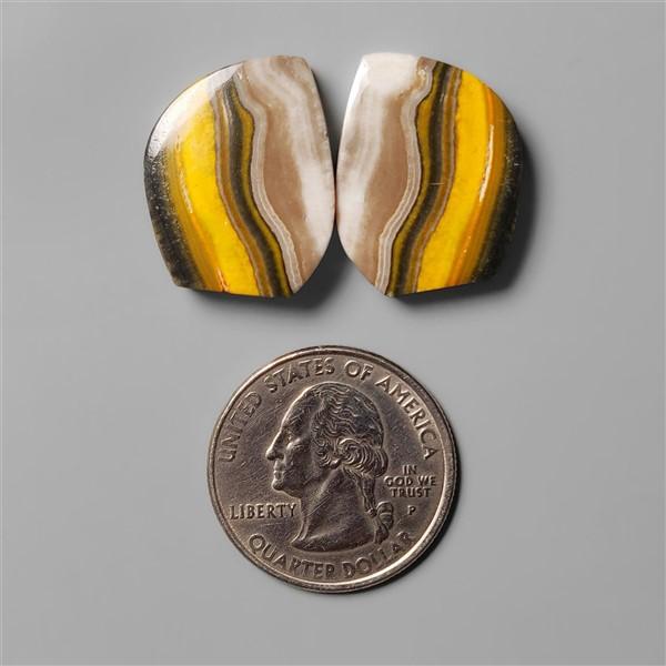 Bumble Bee Jasper