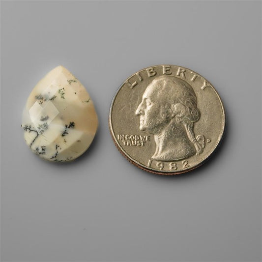 Agate|Dendritic Agate