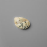 Agate|Dendritic Agate