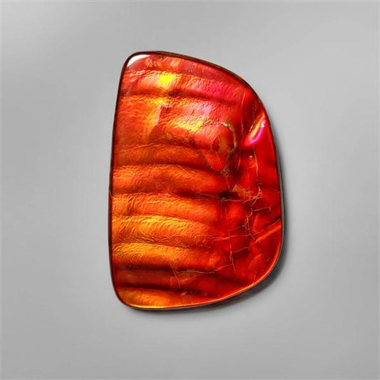 Ammolite