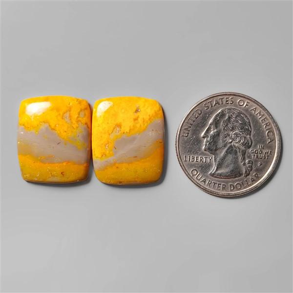 Bumble Bee Jasper