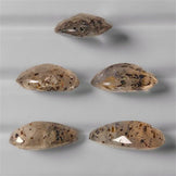 Quartz|Rutilated Quartz