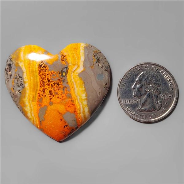 Bumble Bee Jasper