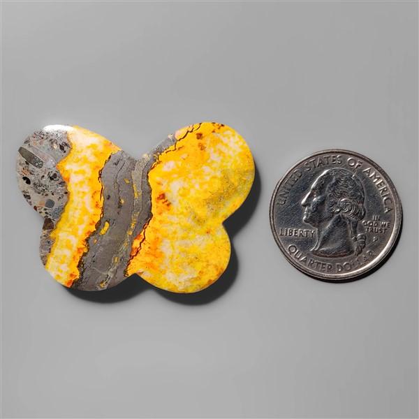 Bumble Bee Jasper