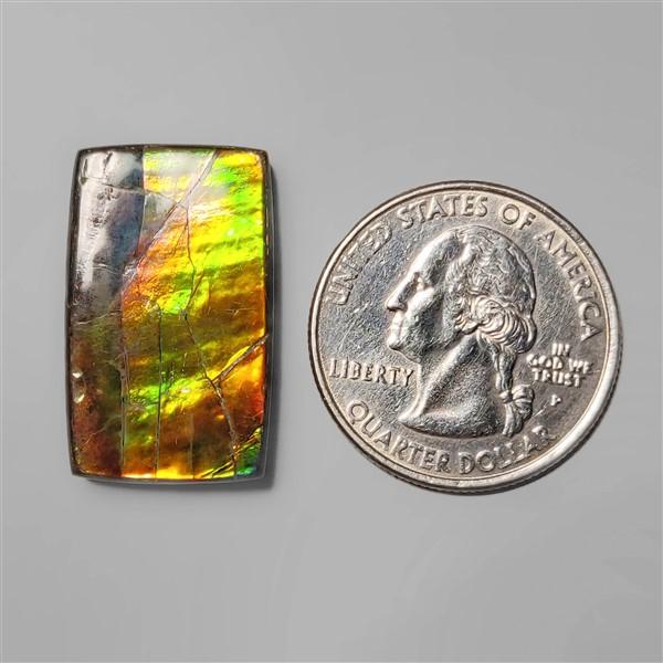 Ammolite