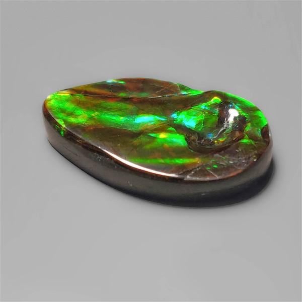 Ammolite