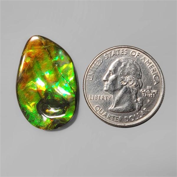 Ammolite