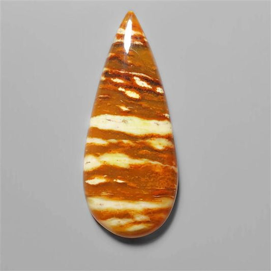 Petrified Wood|Wood
