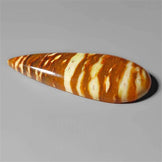 Petrified Wood|Wood