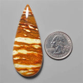 Petrified Wood|Wood