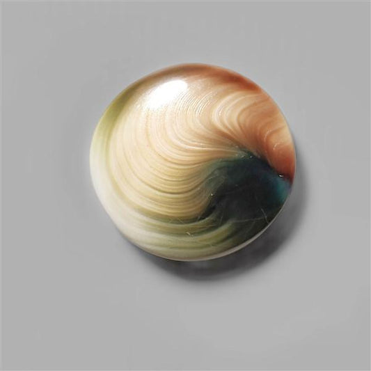 Shell|Shiva Eye Shell