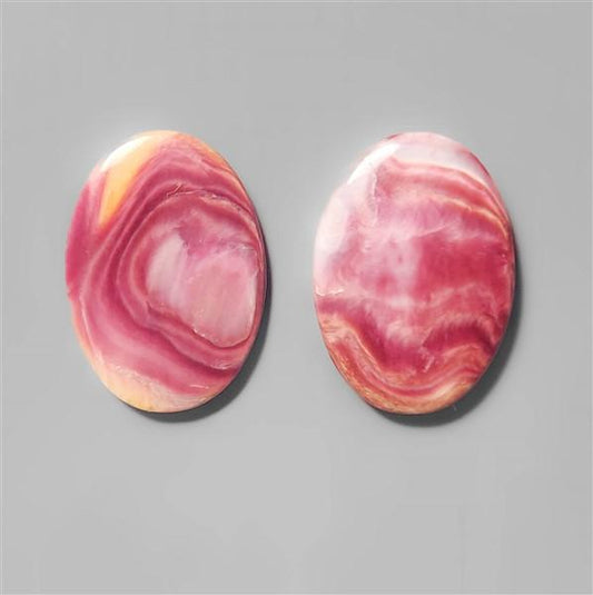 Shell|Spiny Oyster Shell
