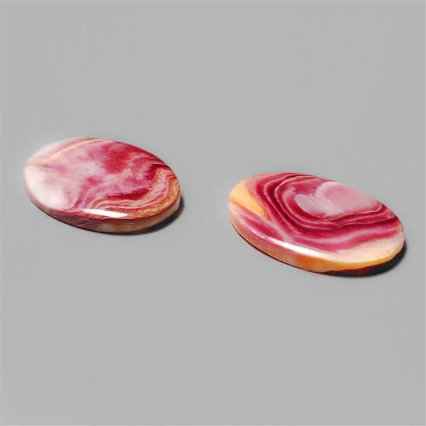Shell|Spiny Oyster Shell