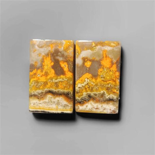 Bumble Bee Jasper