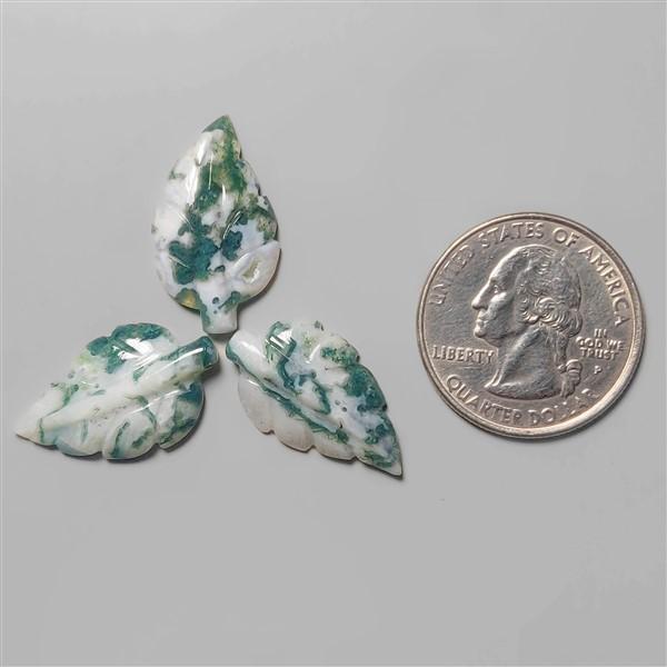 Agate|Tree Agate