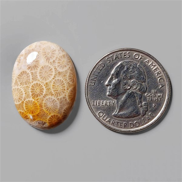Coral