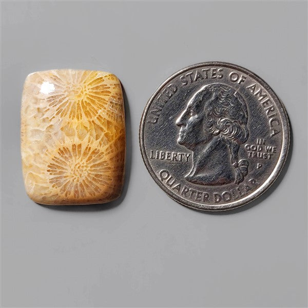Coral