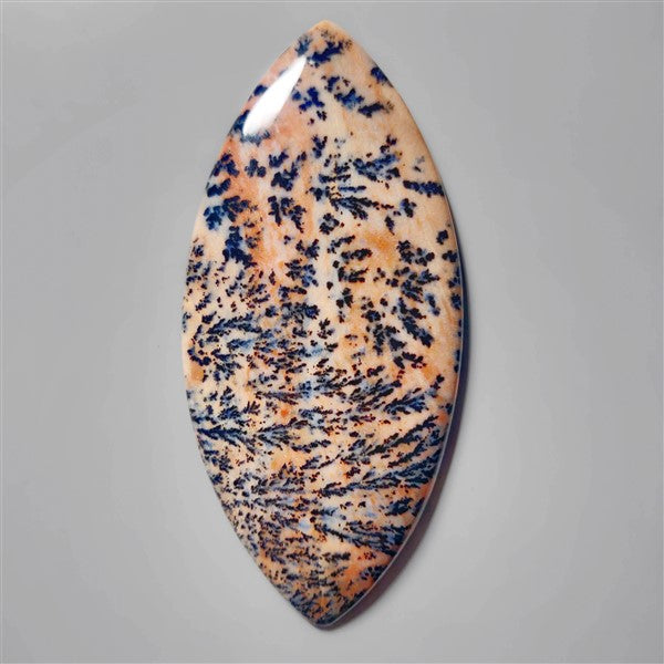 Agate|Dendritic Agate