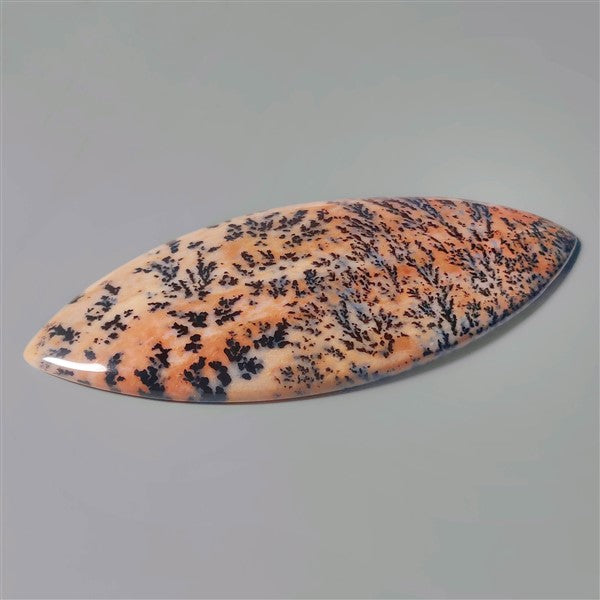 Agate|Dendritic Agate