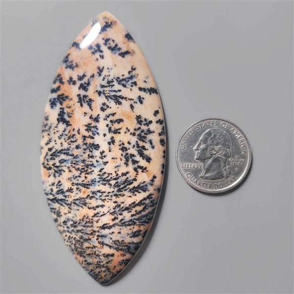 Agate|Dendritic Agate