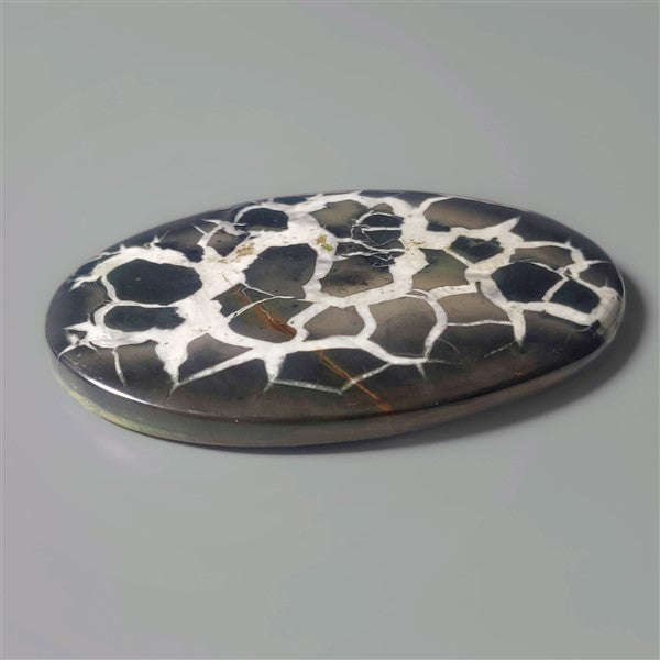 Septarian