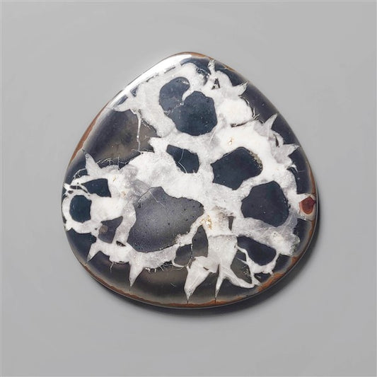 Septarian
