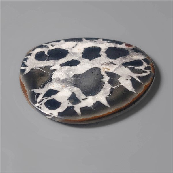 Septarian