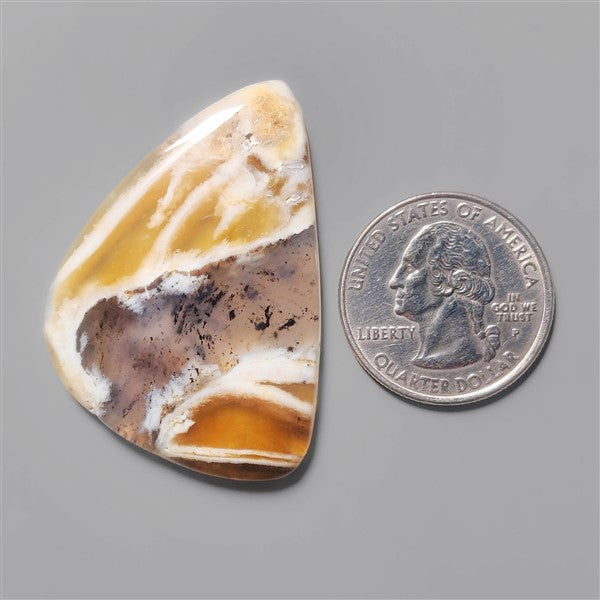 Agate|Dendritic Agate