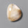 Thomsonite