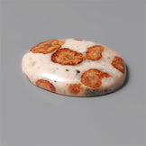 Garnet|Garnet In Limestone