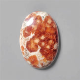 Garnet|Garnet In Limestone