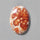 Garnet|Garnet In Limestone