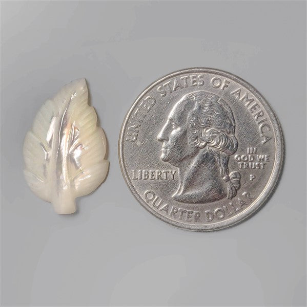 Mother Of Pearl|Pearl