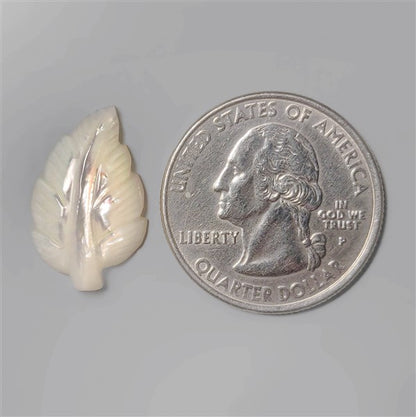 Mother Of Pearl|Pearl