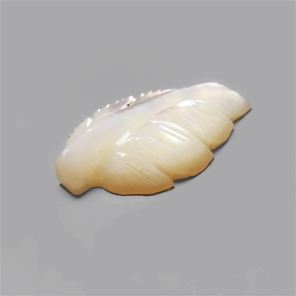 Mother Of Pearl|Pearl