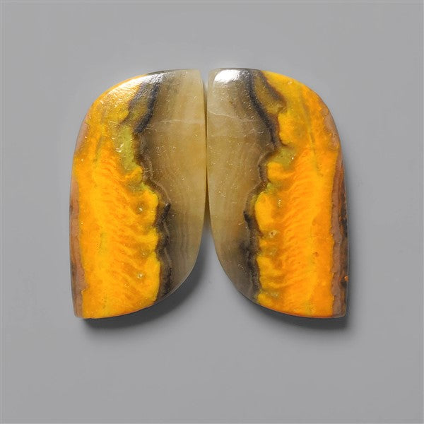 Bumble Bee Jasper
