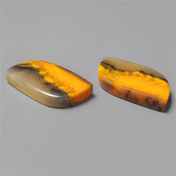 Bumble Bee Jasper