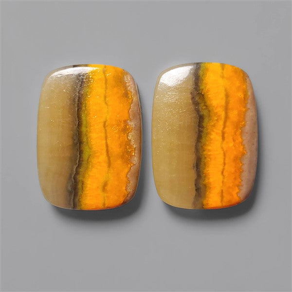 Bumble Bee Jasper